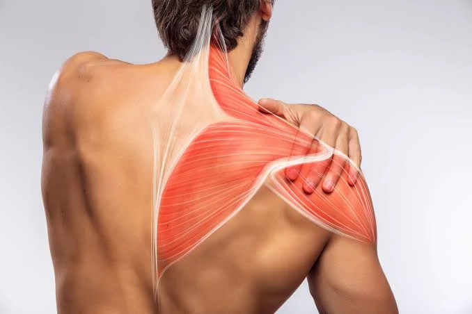 Upper back & shoulder-blade pain